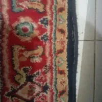 فرش ۶ متری|فرش|پردیس, فاز ۱|دیوار