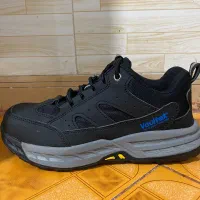 کفش ایمنی کار