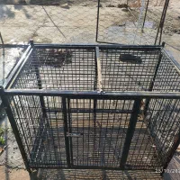 قفس سگ