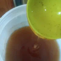 عسل