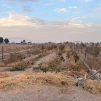 باغ روستای اراضی،باغملک|فروش خانه و ویلا|مبارکه, |دیوار