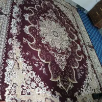 گلیم خشک ۹ متری زیبا|گلیم، جاجیم، گبه|الشتر, |دیوار