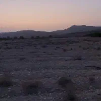 یک موقعیت استثنایی برای صاحب باغ شدن با نصف قیمت|فروش دفتر صنعتی، کشاورزی، تجاری|جهرم, |دیوار