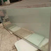 آکواریوم بزرگ