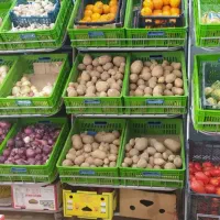 قفسه ملکی ۳۳|فروشگاه و مغازه|خلخال, |دیوار