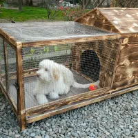 قفس سگ خرگوش طوطی عروس مرغ عشق ملنگو بلدرچین جوجه|لوازم جانبی حیوانات|قائمشهر, |دیوار