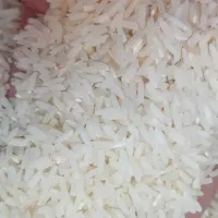 برنج هاشمی الموت