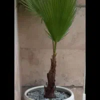 تعدادلوازم منزل نصف قیمت موجوده همچنین طرح معاوضه|حراج|کرج, گوهردشت|دیوار