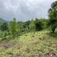 زمین مسکونی در ییلاق|فروش زمین و ملک کلنگی|احمدسرگوراب, |دیوار