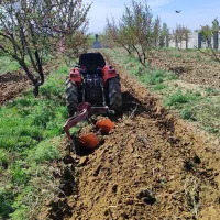 خدمات باغبانی درختان مثمر|خدمات باغبانی و درختکاری|کرج, جهان‌شهر|دیوار