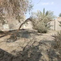 باغ ویلا- زابل- روستای شهرک گلخانی|فروش خانه و ویلا|صابری, |دیوار