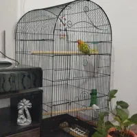 قفس یک متری