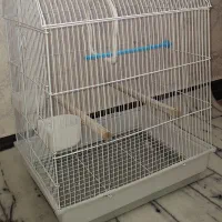 قفس پرنده بزرگ