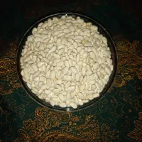 حبوبات|خوردنی و آشامیدنی|تهران, قصر فیروزه ۱|دیوار