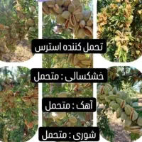 انواع گردو پیوندی مناسب منطقه شما|خدمات باغبانی و درختکاری|اراک, |دیوار