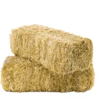 فروش کاه گندم