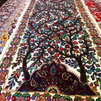 پرده پته دو تیکه