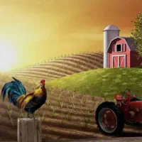 فروش زمین با کاربری زراعی و باغی