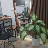 کافع کیک|کافی‌شاپ و رستوران|آران و بیدگل, |دیوار