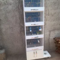 قفس کمدی قناری طوطی مرغ عشق