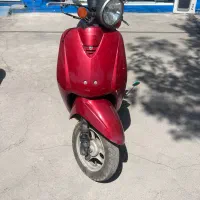 هوندا پاکشتی تودی