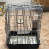 قفس کاسکویی