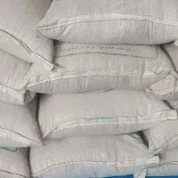 گندم بذری دیم رقم هشترود درجه 1