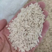 برنج عنبربو سراب کلان