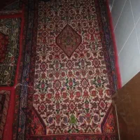 قالی|فرش|بهار, |دیوار