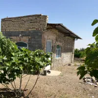 باغ|فروش زمین و ملک کلنگی|قم, نخودی|دیوار
