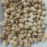 فروش پسته تازه امسال|خوردنی و آشامیدنی|شیراز, کوشک میدان|دیوار