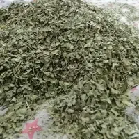 دستگاه سبزی و میوه خشک کن|ماشین‌آلات صنعتی|شیراز, میانرود|دیوار