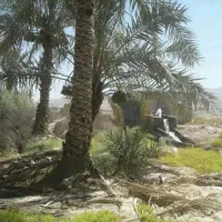 باغ وزمین لب اتوبان دالکی برازجان|فروش زمین و ملک کلنگی|برازجان, |دیوار