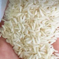 برنج دم سیاه محلی درجه یک