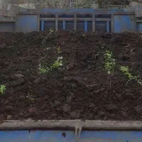 کود گاوی|خدمات باغبانی و درختکاری|طاهرگوراب, |دیوار