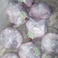 بوقلمون گوشتی و پروار  سالم و خوش طعم|حیوانات مزرعه|مشهد, توس فردوسی|دیوار