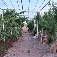 معاوضه-با-منزل-در-نیشابور-یا-مشهد