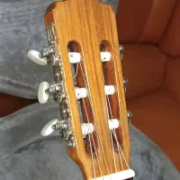 گیتار کلاسیک آنتونیو آپاراسیو مدل AA15|گیتار، بیس، امپلیفایر|رشت, گلسار|دیوار