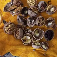 گردو|خوردنی و آشامیدنی|زاوین, |دیوار