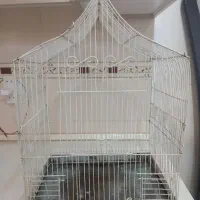 قفس پرنده