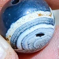 مهره برد یا سلیمانی