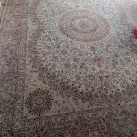 دوازده متری ضخیم ۵۰۰ شانه تراکم ۱۲۰۰ فرش کاشان|فرش|گرگان, |دیوار