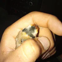 سلام سهره حلب