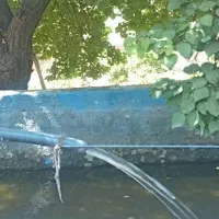 خونه باغ ویلایی|فروش خانه و ویلا|فرمهین, |دیوار