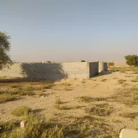 زمین|فروش زمین و ملک کلنگی|بندر گناوه, |دیوار