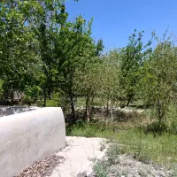 مشاور املاک/کارمند