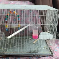 ۷ عدد قفس دوتا بزرگ ۵ تا متوسط سالم