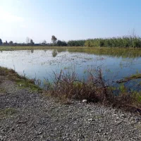 فروش-زمین-کشاورزی-6000-متر-در-مرکز-شهر