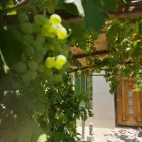 اجاره سوئیت مبله و نوساز برای مسافران گرامی|اجارهٔ کوتاه‌مدت آپارتمان و سوئیت|ساوه, |دیوار