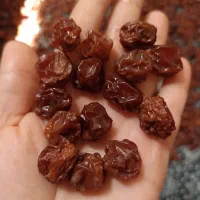 آلوچه|خوردنی و آشامیدنی|مشهد, شهرک امام هادی (شهرک غرب)|دیوار